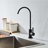 Purified Water Kitchen Faucet