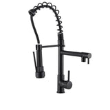 Dual Spout Pull Out Spring Faucet