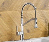 Signature Spring Kitchen Faucet