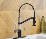 Signature Spring Kitchen Faucet