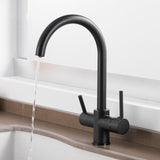 Modern Kitchen Faucet With Filtered Water