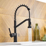 Signature Spring Kitchen Faucet